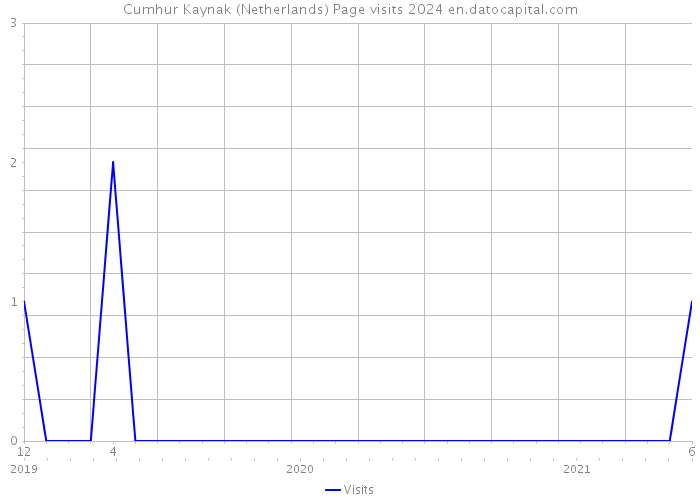Cumhur Kaynak (Netherlands) Page visits 2024 