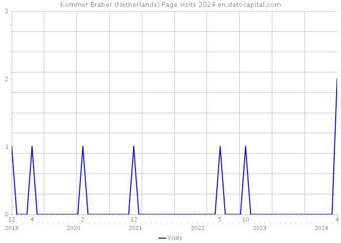 Kommer Braber (Netherlands) Page visits 2024 