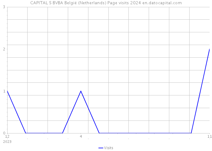 CAPITAL S BVBA België (Netherlands) Page visits 2024 