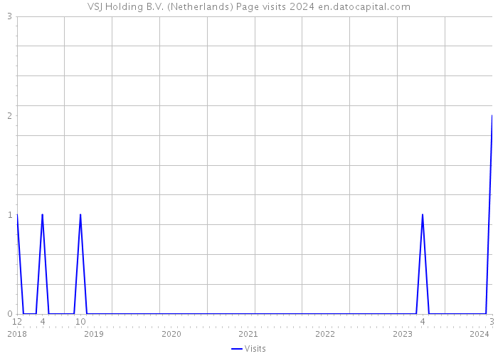 VSJ Holding B.V. (Netherlands) Page visits 2024 