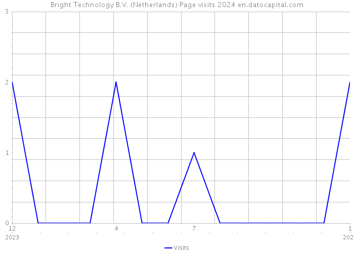 Bright Technology B.V. (Netherlands) Page visits 2024 