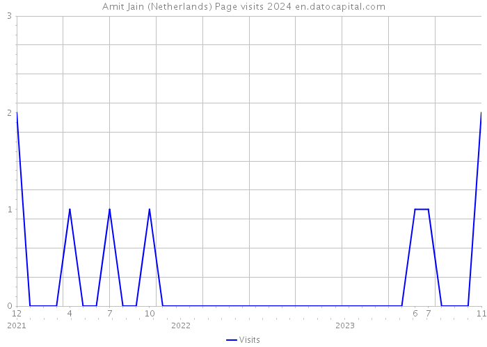 Amit Jain (Netherlands) Page visits 2024 
