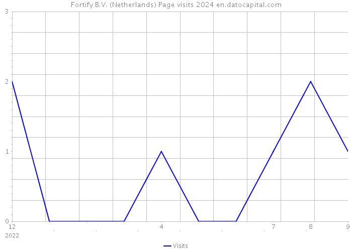 Fortify B.V. (Netherlands) Page visits 2024 