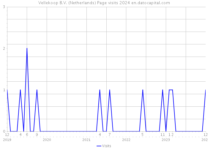Vellekoop B.V. (Netherlands) Page visits 2024 