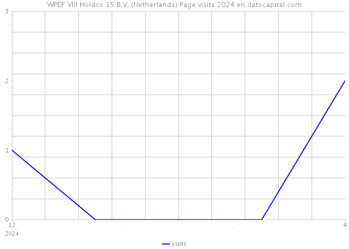 WPEF VIII Holdco 15 B.V. (Netherlands) Page visits 2024 