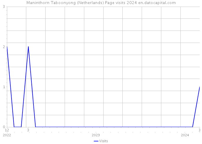 Maninthorn Taboonyong (Netherlands) Page visits 2024 