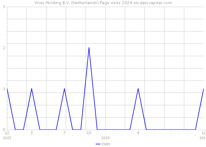 Vries Holding B.V. (Netherlands) Page visits 2024 