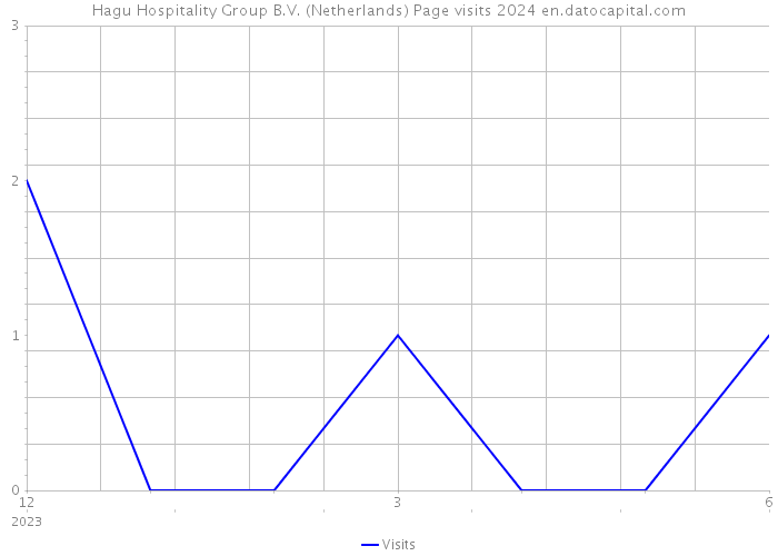 Hagu Hospitality Group B.V. (Netherlands) Page visits 2024 