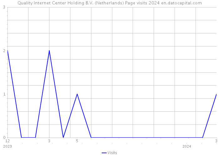 Quality Internet Center Holding B.V. (Netherlands) Page visits 2024 