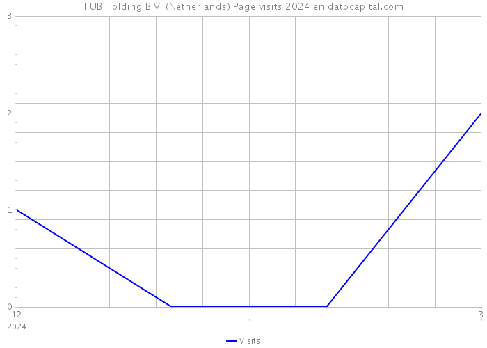 FUB Holding B.V. (Netherlands) Page visits 2024 