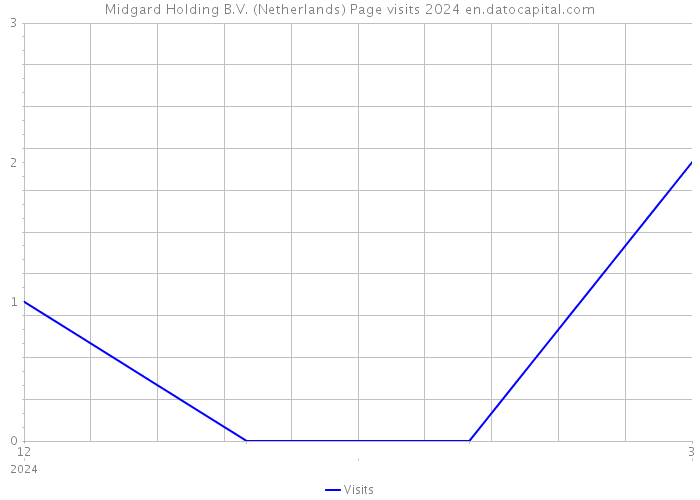 Midgard Holding B.V. (Netherlands) Page visits 2024 