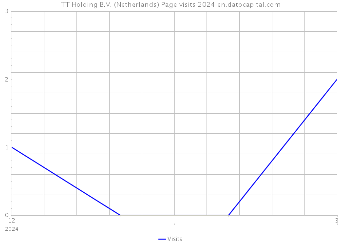 TT Holding B.V. (Netherlands) Page visits 2024 