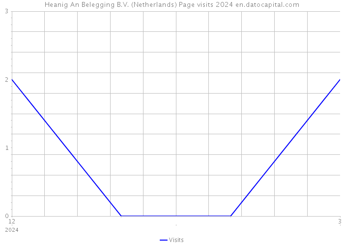 Heanig An Belegging B.V. (Netherlands) Page visits 2024 