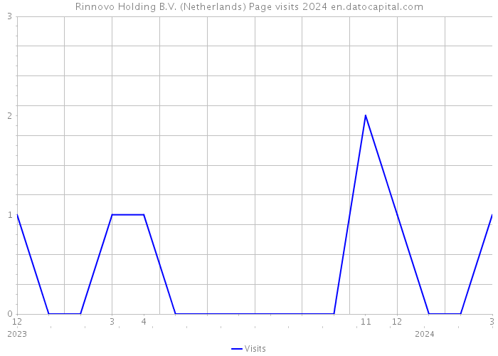 Rinnovo Holding B.V. (Netherlands) Page visits 2024 