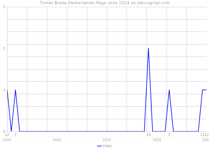 Tomás Brada (Netherlands) Page visits 2024 