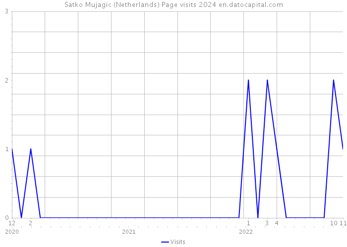 Satko Mujagic (Netherlands) Page visits 2024 