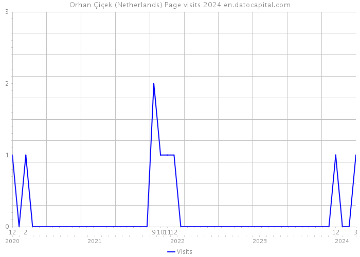 Orhan Çiçek (Netherlands) Page visits 2024 