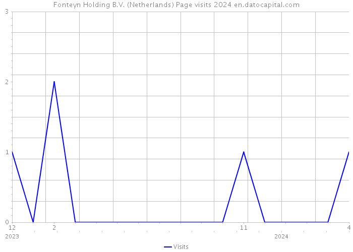 Fonteyn Holding B.V. (Netherlands) Page visits 2024 