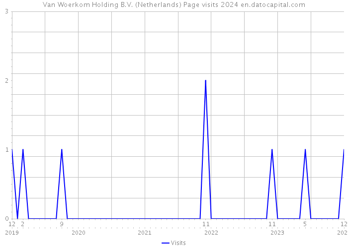 Van Woerkom Holding B.V. (Netherlands) Page visits 2024 