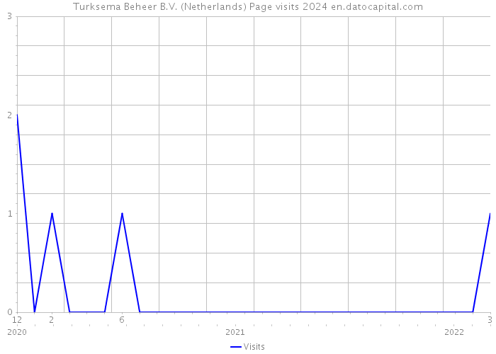 Turksema Beheer B.V. (Netherlands) Page visits 2024 