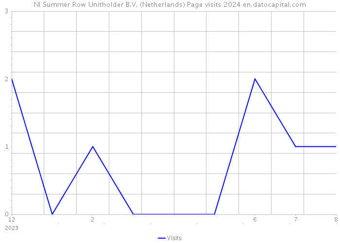 NI Summer Row Unitholder B.V. (Netherlands) Page visits 2024 