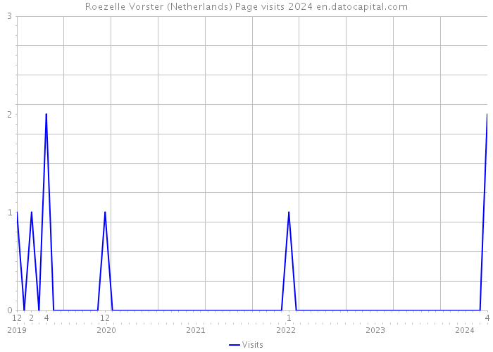 Roezelle Vorster (Netherlands) Page visits 2024 