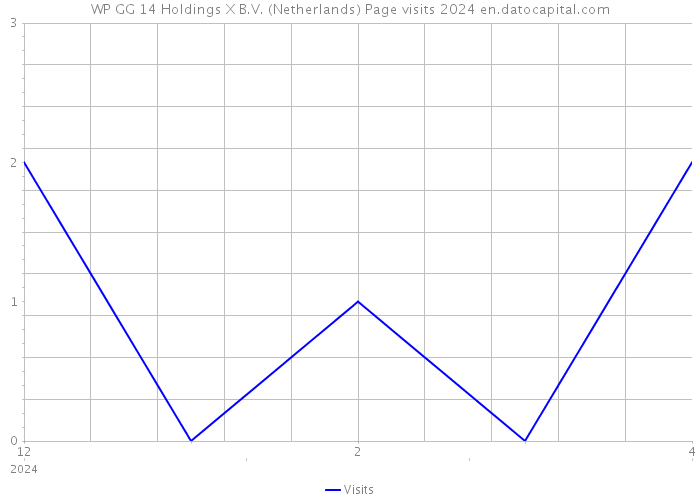 WP GG 14 Holdings X B.V. (Netherlands) Page visits 2024 