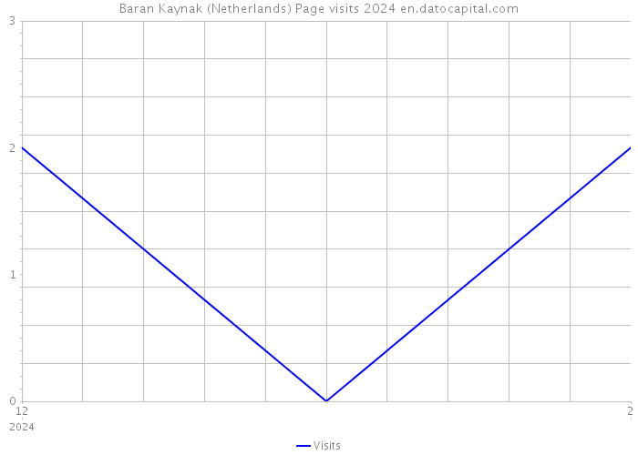 Baran Kaynak (Netherlands) Page visits 2024 