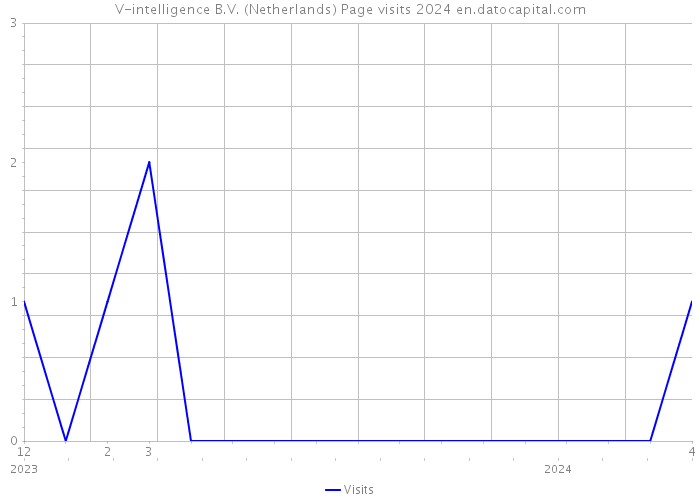V-intelligence B.V. (Netherlands) Page visits 2024 