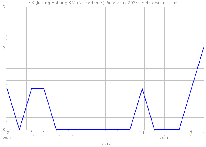 B.K. Julsing Holding B.V. (Netherlands) Page visits 2024 