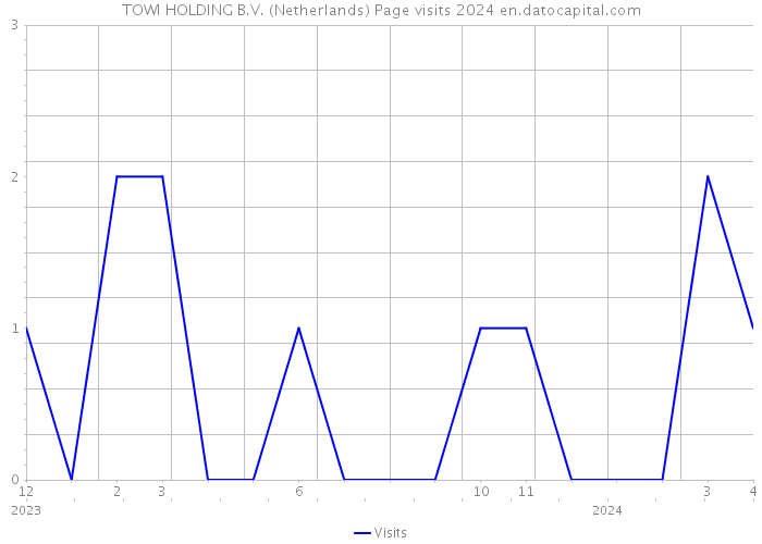 TOWI HOLDING B.V. (Netherlands) Page visits 2024 
