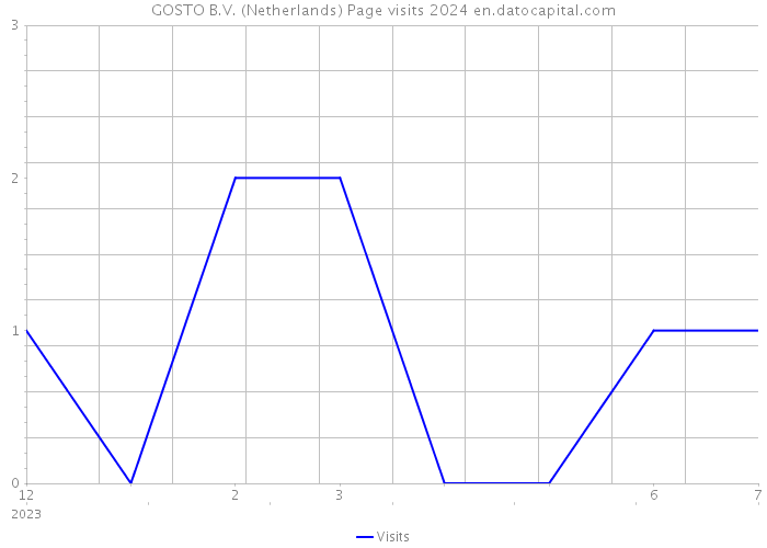 GOSTO B.V. (Netherlands) Page visits 2024 