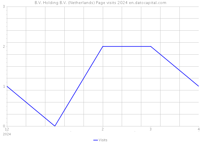 B.V. Holding B.V. (Netherlands) Page visits 2024 