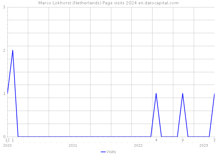 Marco Lokhorst (Netherlands) Page visits 2024 
