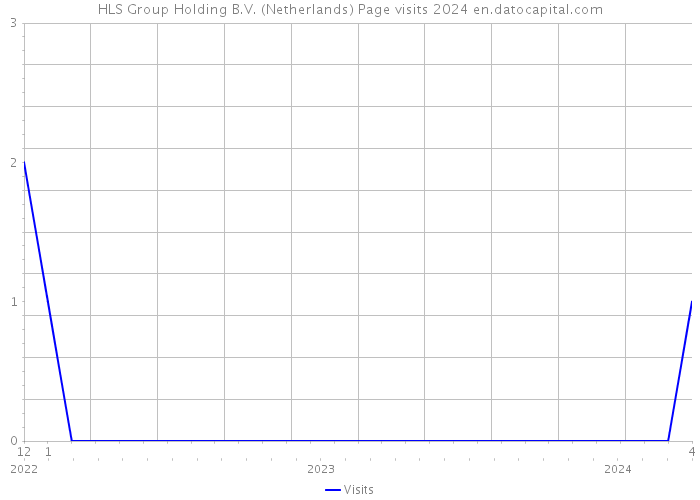 HLS Group Holding B.V. (Netherlands) Page visits 2024 