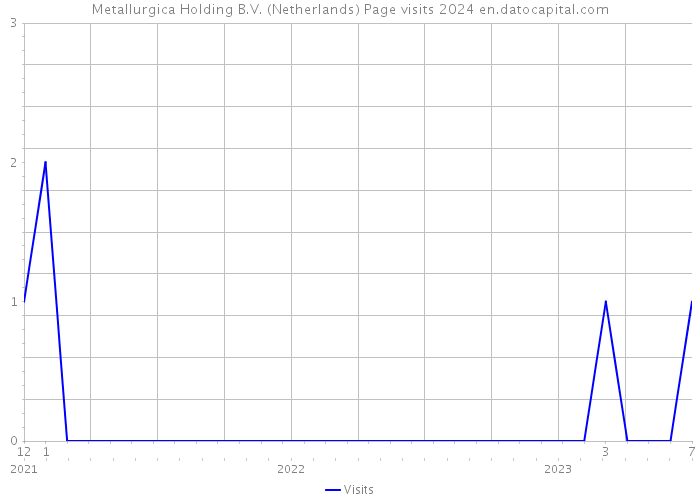 Metallurgica Holding B.V. (Netherlands) Page visits 2024 