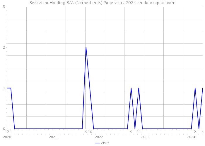 Beekzicht Holding B.V. (Netherlands) Page visits 2024 