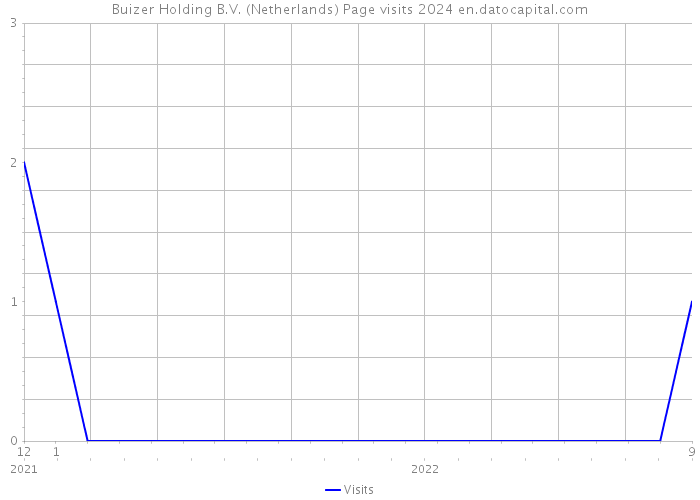 Buizer Holding B.V. (Netherlands) Page visits 2024 
