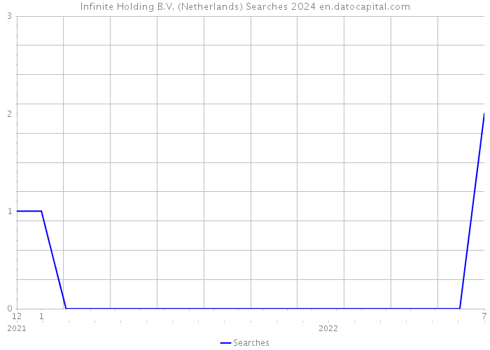 Infinite Holding B.V. (Netherlands) Searches 2024 