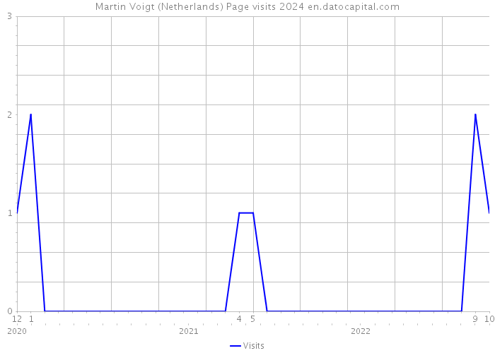 Martin Voigt (Netherlands) Page visits 2024 