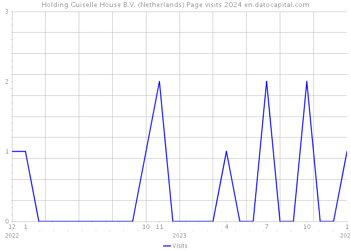 Holding Guiselle House B.V. (Netherlands) Page visits 2024 