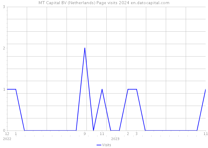 MT Capital BV (Netherlands) Page visits 2024 