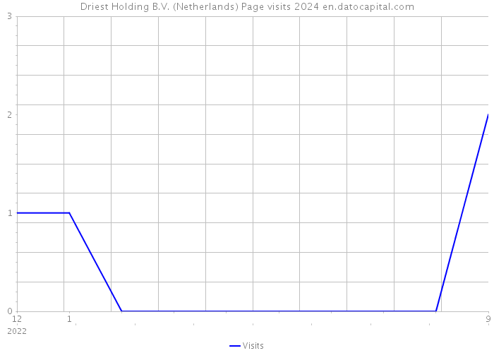 Driest Holding B.V. (Netherlands) Page visits 2024 