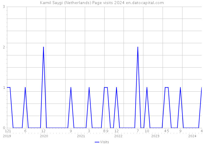 Kamil Saygi (Netherlands) Page visits 2024 
