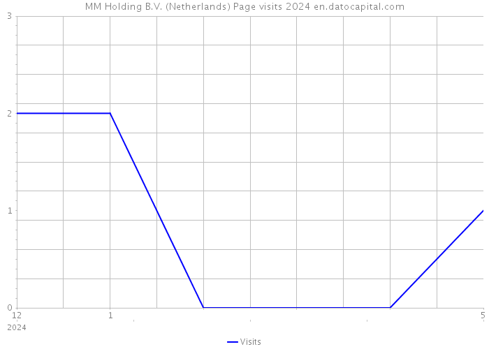 MM Holding B.V. (Netherlands) Page visits 2024 