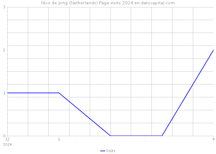 Nico de Jong (Netherlands) Page visits 2024 