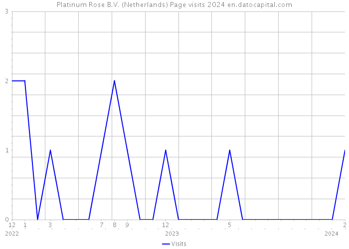 Platinum Rose B.V. (Netherlands) Page visits 2024 