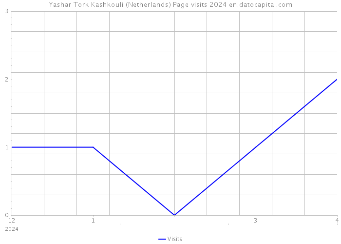Yashar Tork Kashkouli (Netherlands) Page visits 2024 