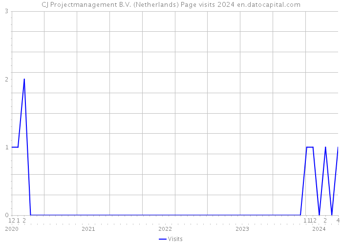 CJ Projectmanagement B.V. (Netherlands) Page visits 2024 