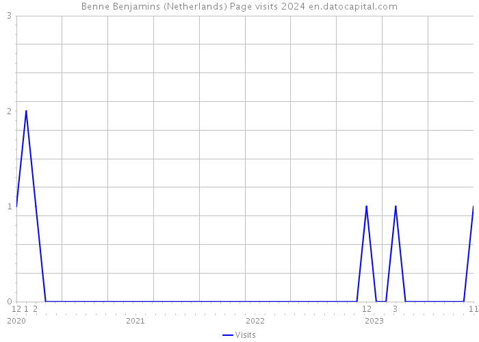 Benne Benjamins (Netherlands) Page visits 2024 